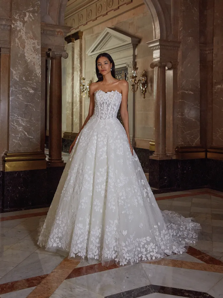 Demetrios Platinum  DP546