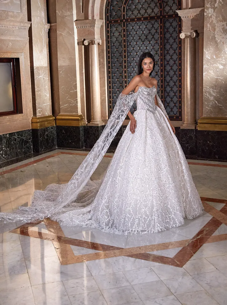 Demetrios Platinum  DP547