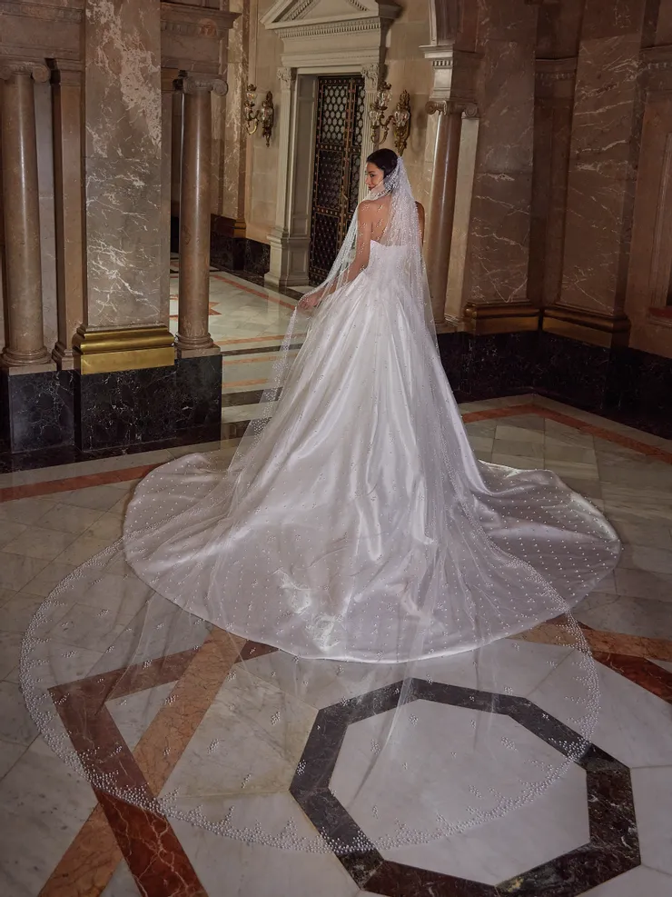 Demetrios Platinum  DP553