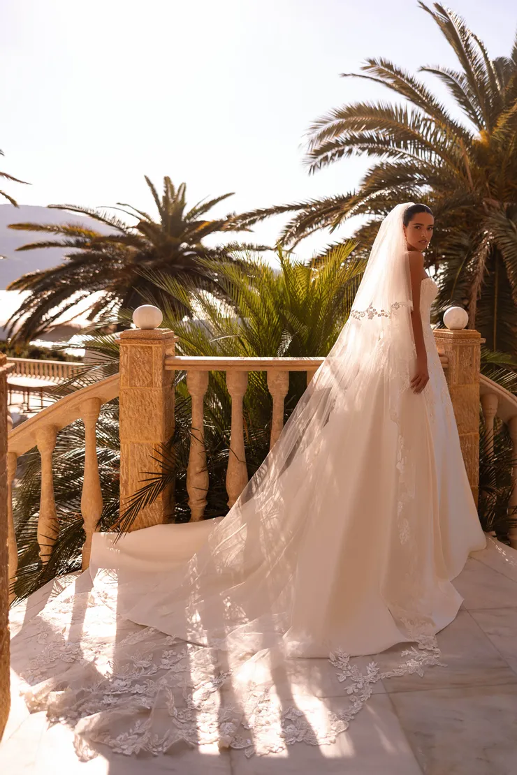 Demetrios 8255