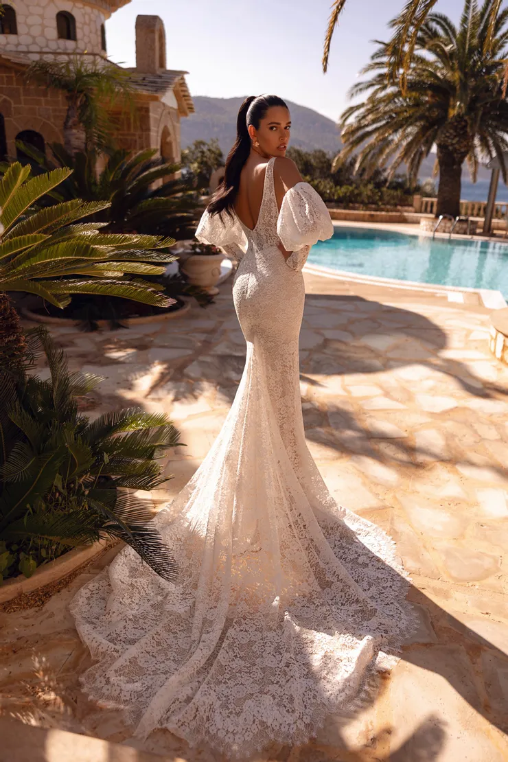 Demetrios 8266
