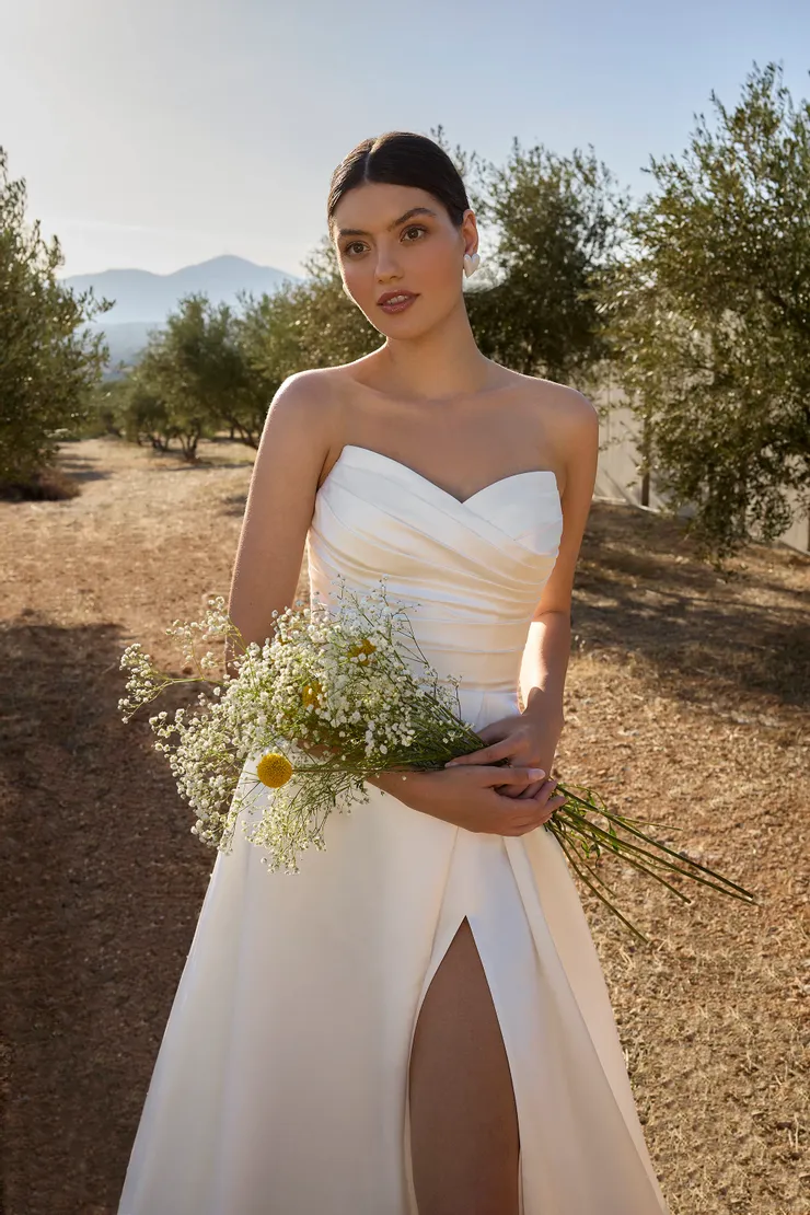 Demetrios L1152