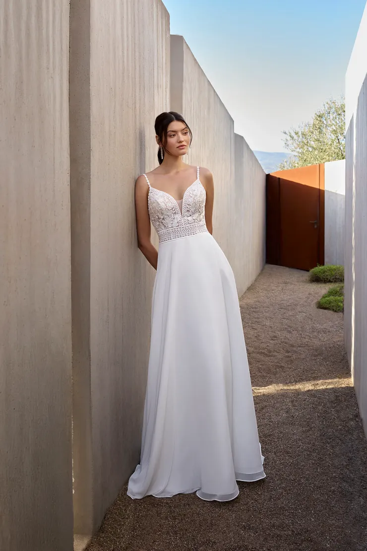 Demetrios L1162