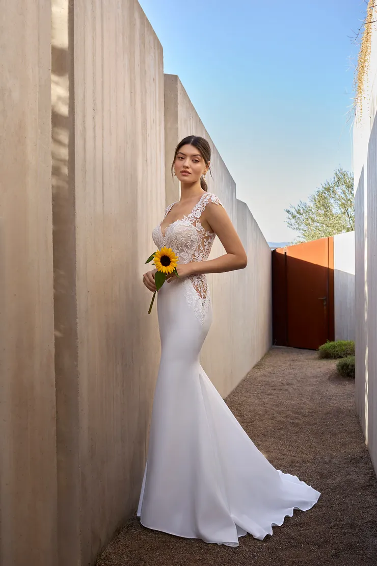 Demetrios L1166