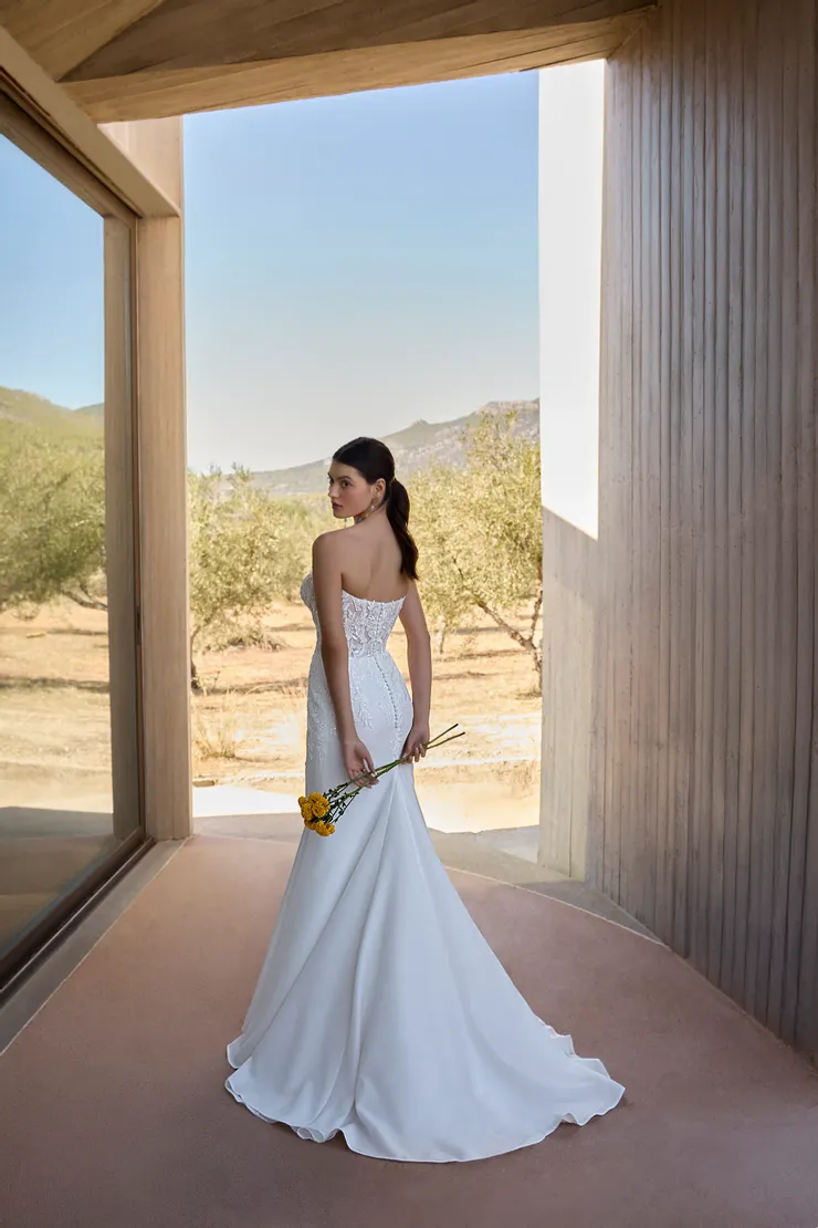 Demetrios L1167