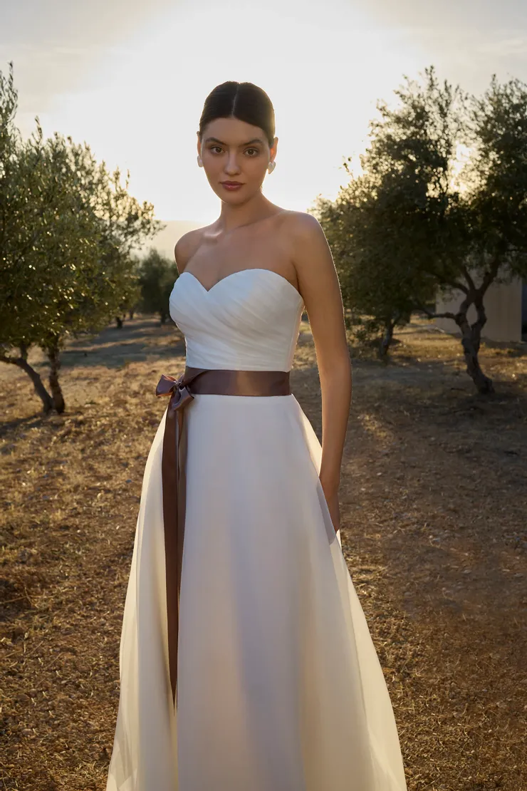Demetrios L1172