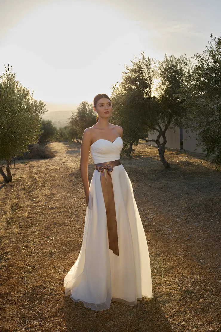 Demetrios L1172
