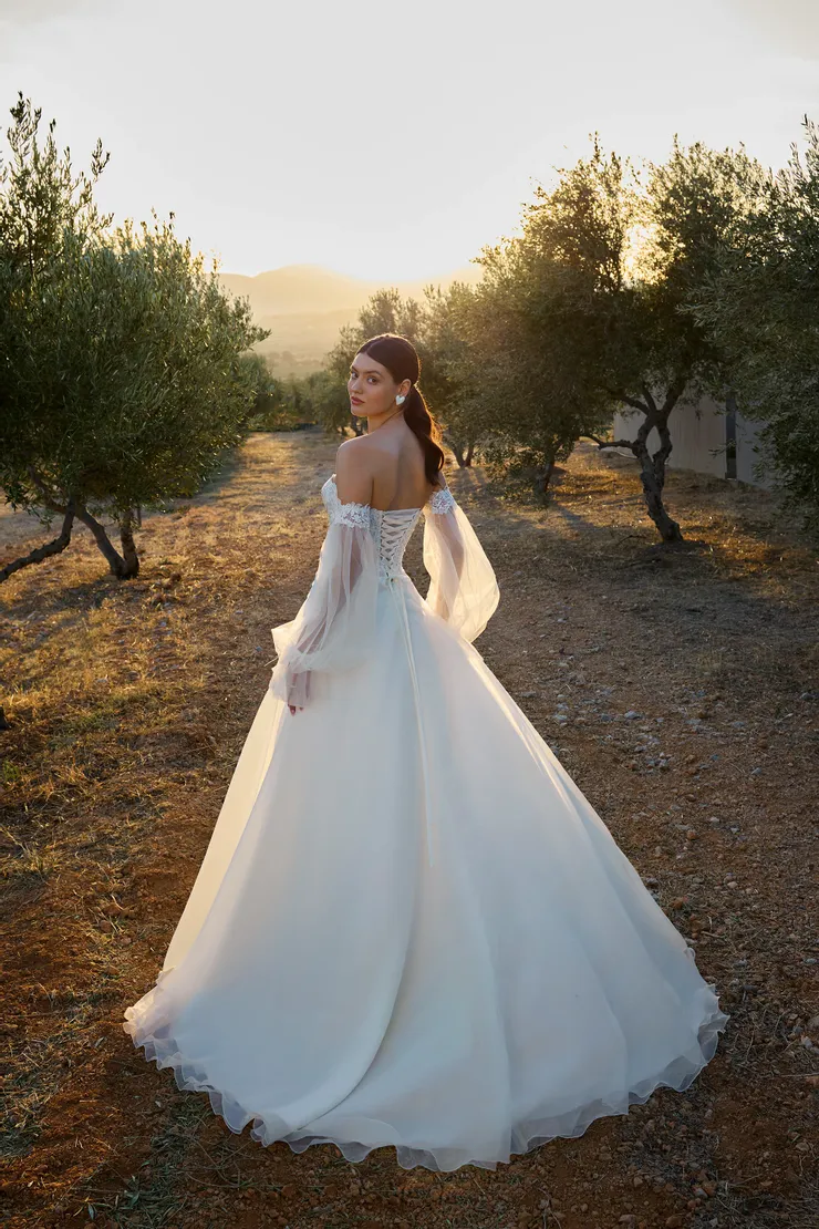 Demetrios L1175