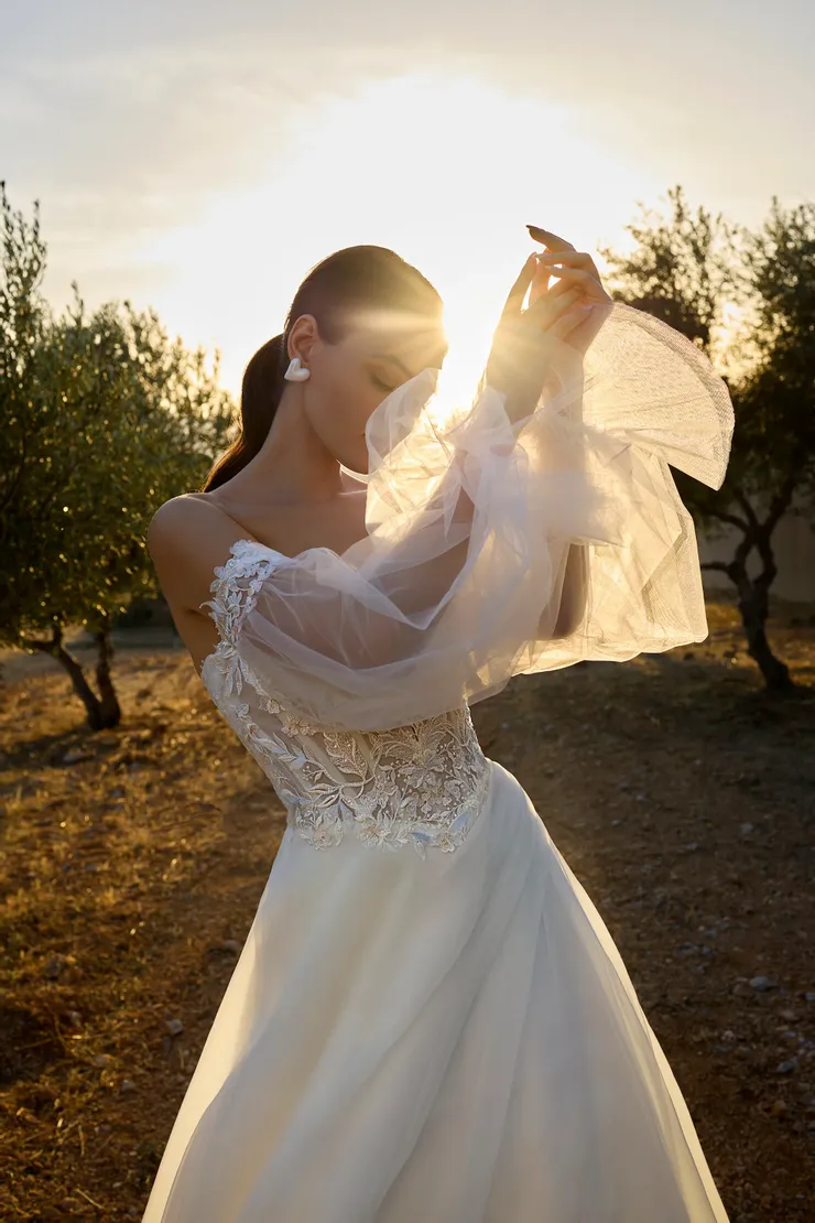 Demetrios L1175