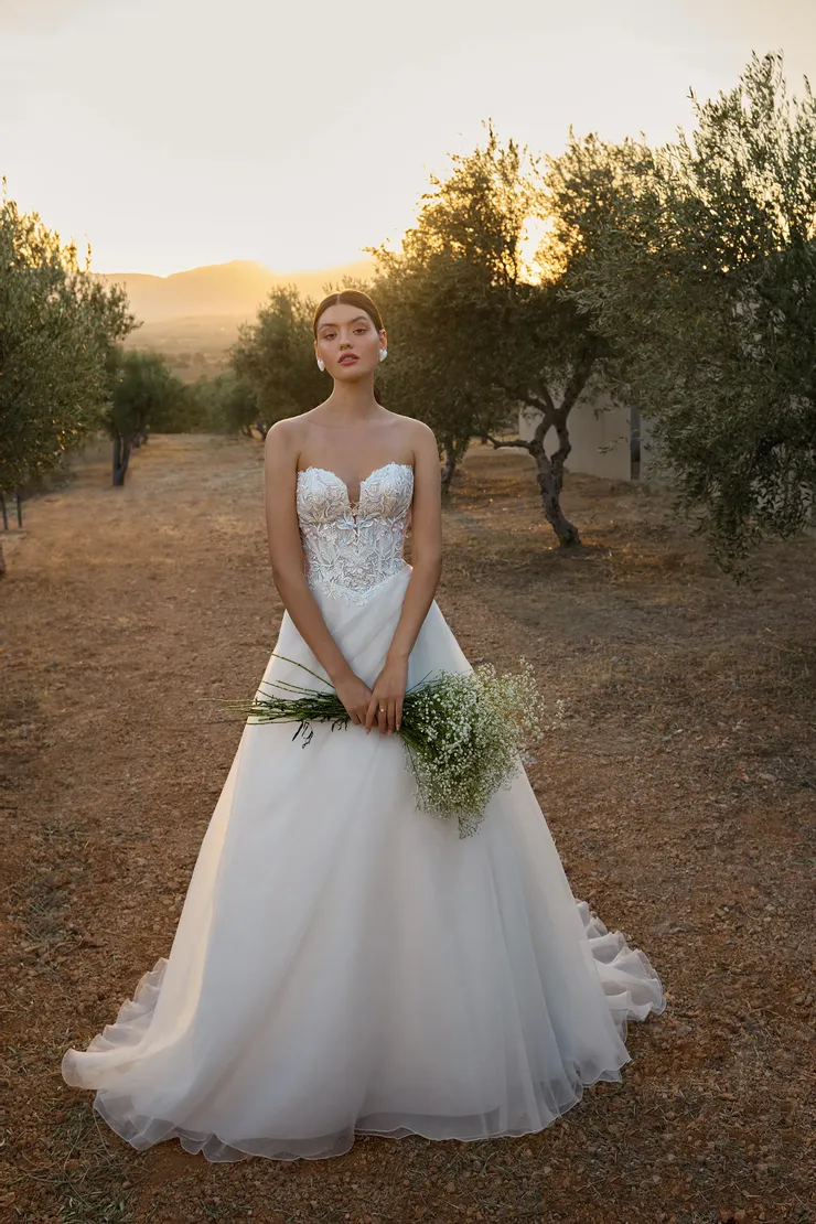 Demetrios L1175