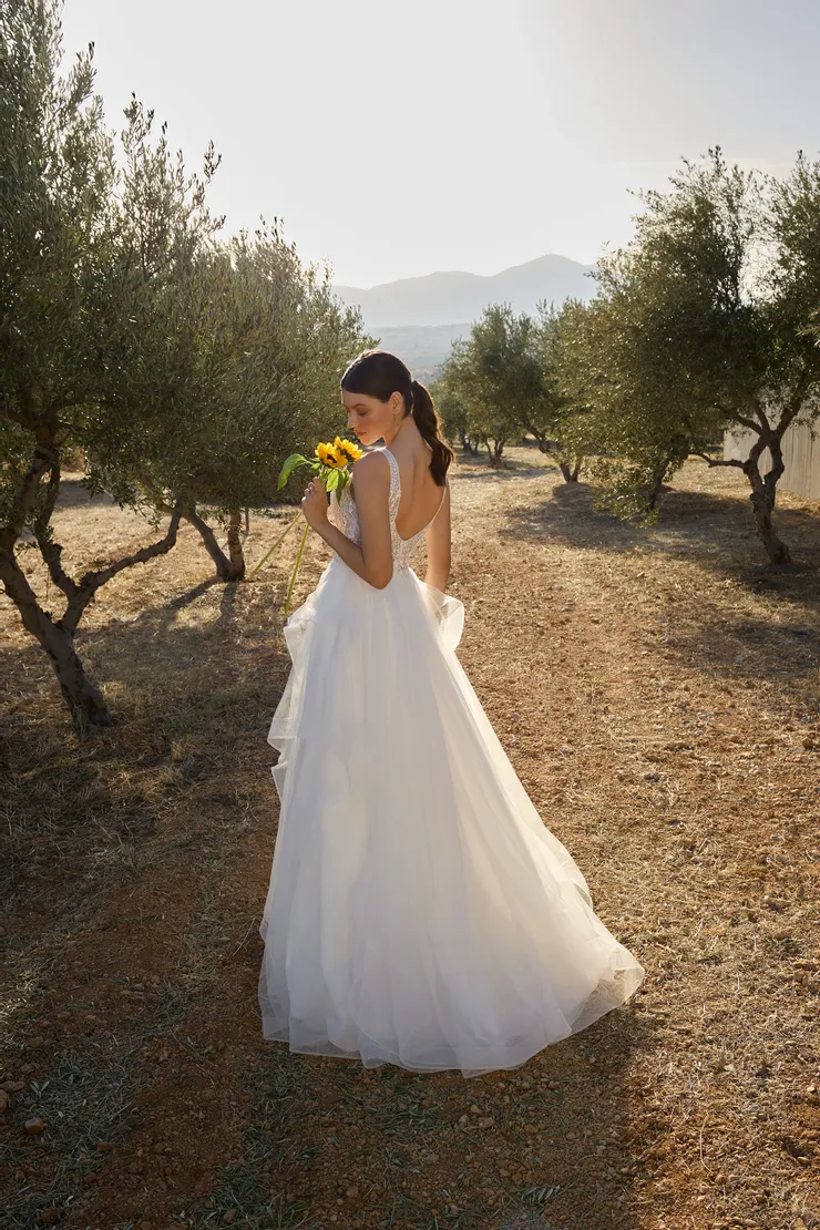 Demetrios L1176