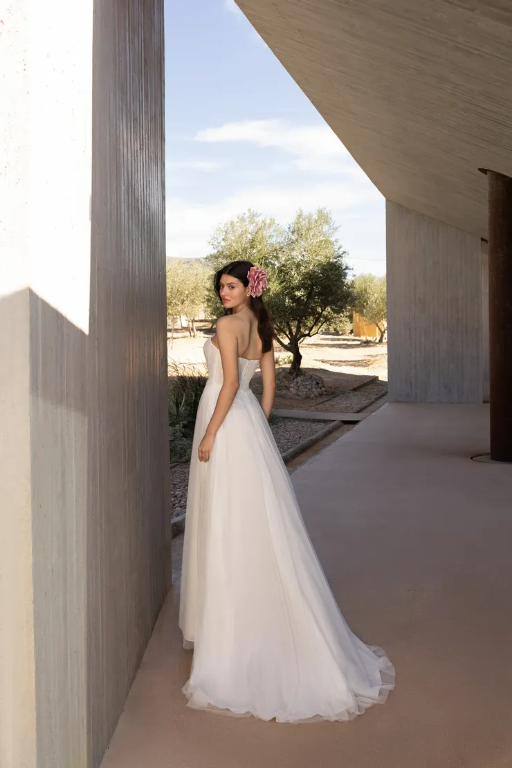 Demetrios L1182