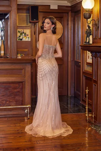 Juliet Dresses 2709T #12 backface vertical thumbnail
