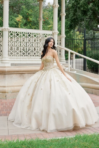 Juliet Dresses 1465H #1 frontface vertical thumbnail