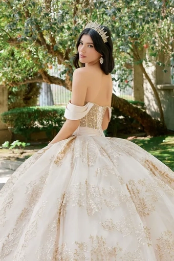 Juliet Dresses 1488H #28 backface vertical cropped thumbnail