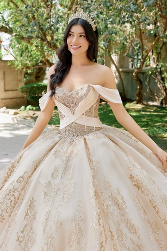 Juliet Dresses 1488H #21 frontface vertical cropped thumbnail