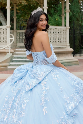 Juliet Dresses 1498J #4 backface vertical cropped thumbnail