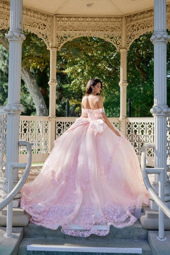 Juliet Dresses 1503J #4 backface vertical thumbnail