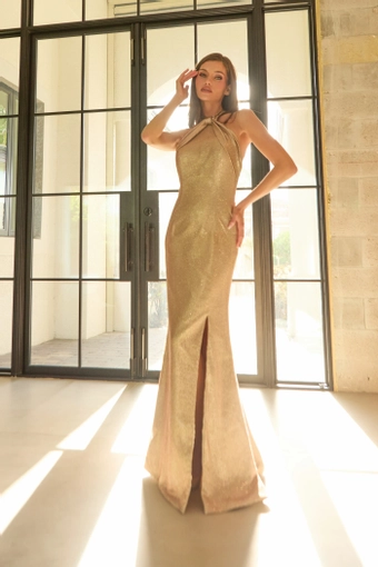 Kelly Chase Couture 26-637 #0 default frontface vertical thumbnail