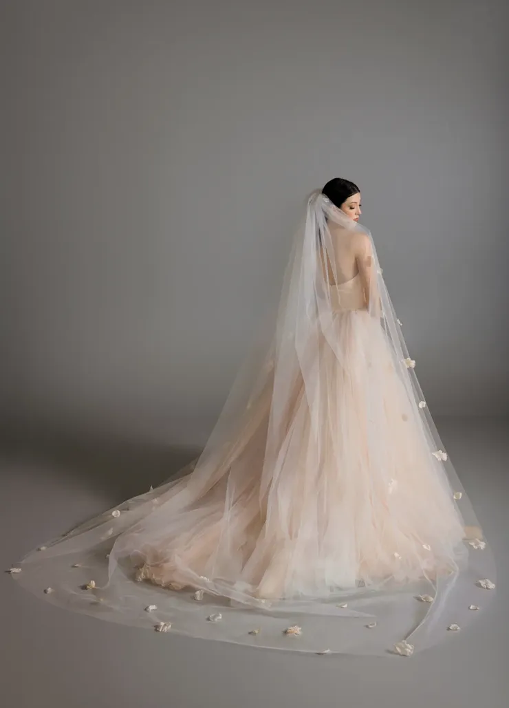 Blanc de Perez by Lazaro Bloom