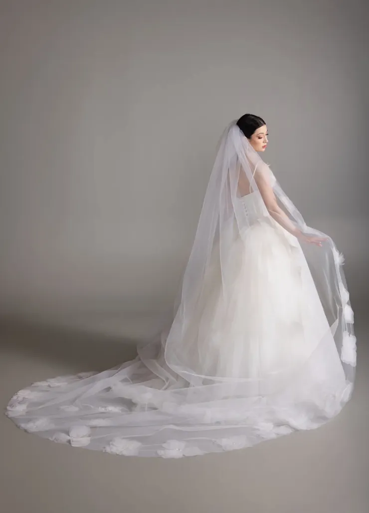 Blanc de Perez by Lazaro Brittany