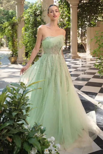 A & L A1491 #3 frontface vertical thumbnail