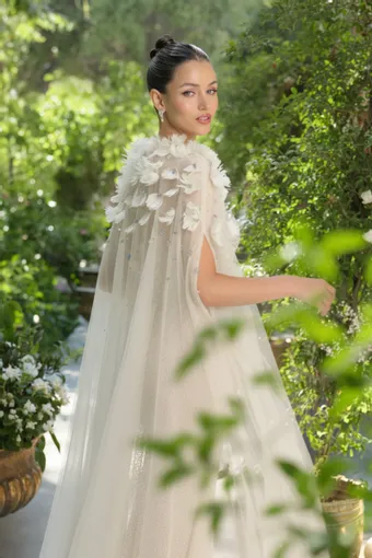 A & L AA001 #3 backface vertical cropped thumbnail