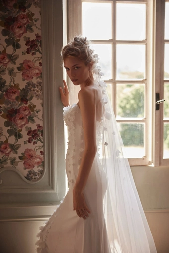 Mimosa Daria Karlozi #3 backface vertical cropped thumbnail