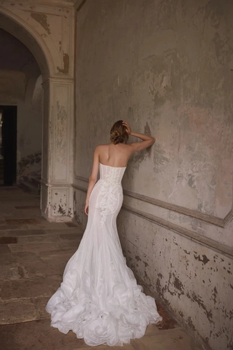 Celosia Daria Karlozi #1 default backface vertical thumbnail