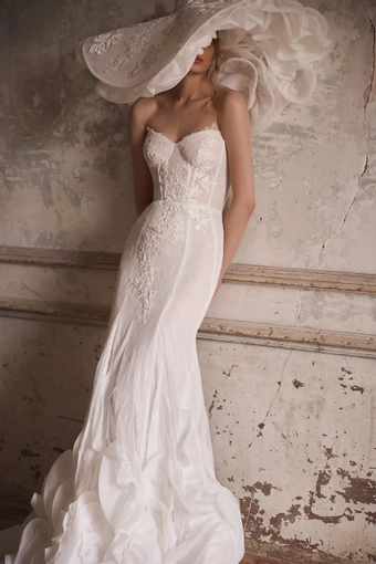 Celosia Daria Karlozi #2 frontface vertical cropped thumbnail