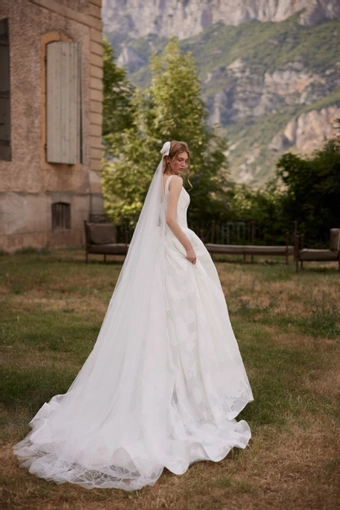 Calytrix Daria Karlozi #2 default backface vertical thumbnail