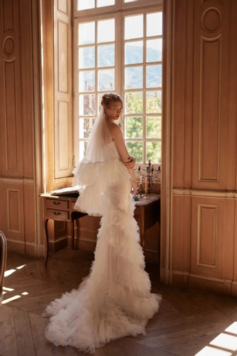 Amaryllis Daria Karlozi #1 default backface vertical thumbnail