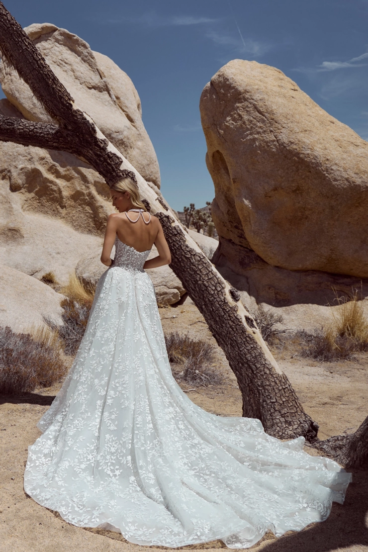 Calla Blanche 126101