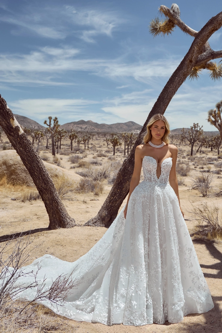 Calla Blanche #126101 Default Thumbnail Image