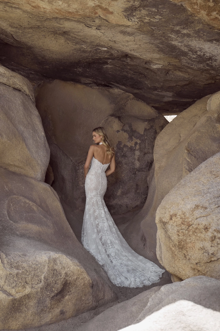 Calla Blanche 126102