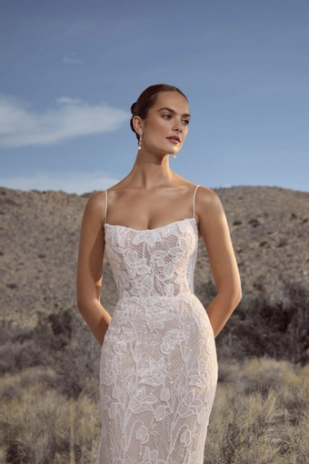 Calla Blanche 126103 #2 frontface vertical cropped thumbnail