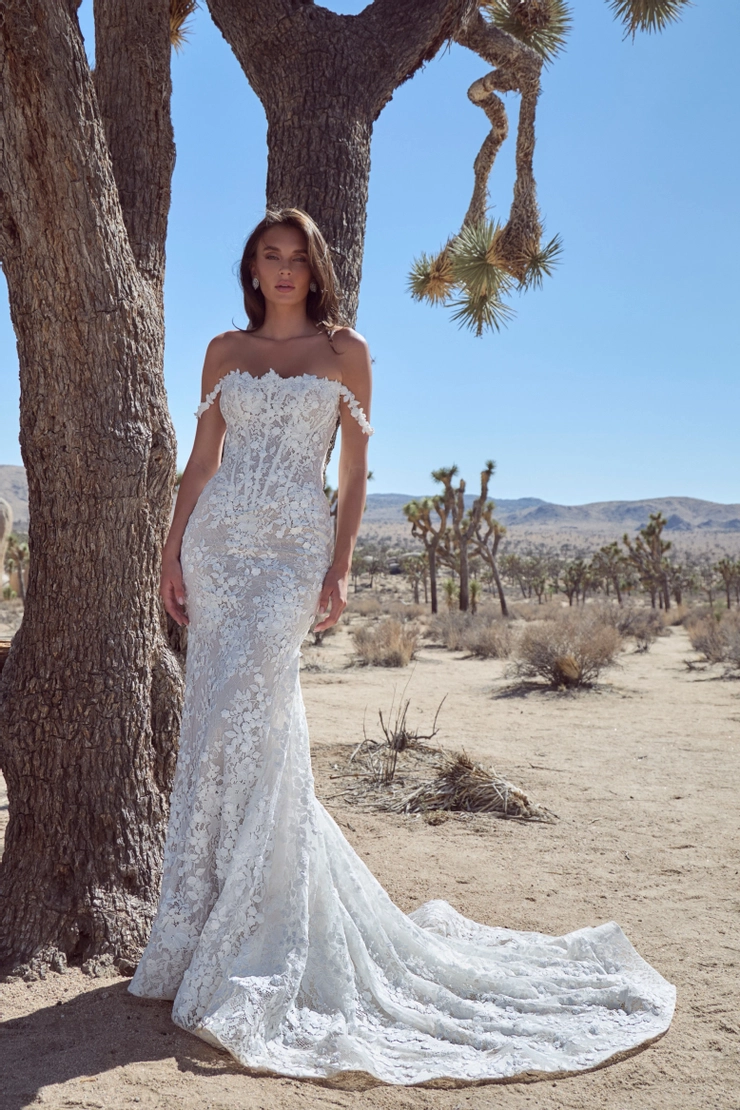 Calla Blanche #126104 Default Thumbnail Image