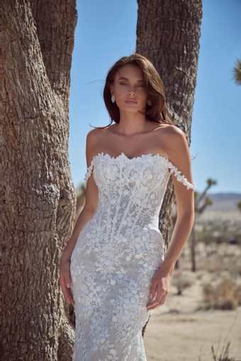 Calla Blanche 126104 #3 frontface vertical cropped thumbnail