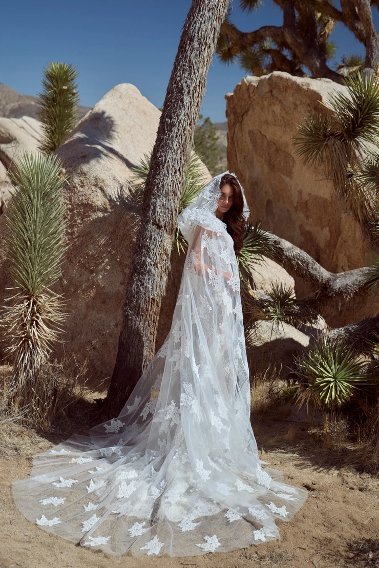 Calla Blanche 126108