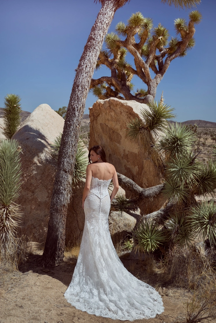 Calla Blanche 126108