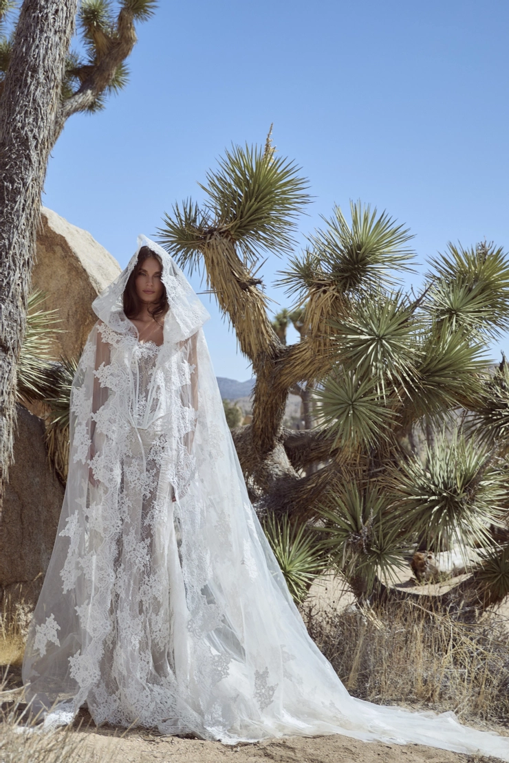 Calla Blanche 126108