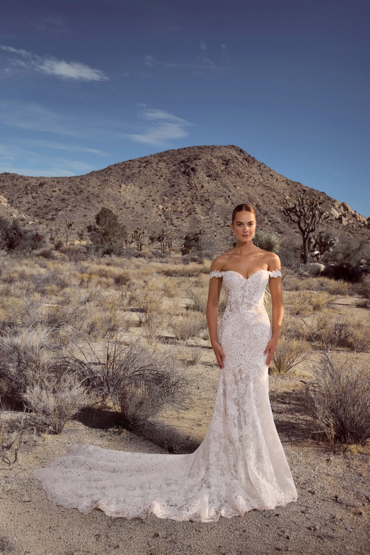 Calla Blanche #126109 Default Thumbnail Image