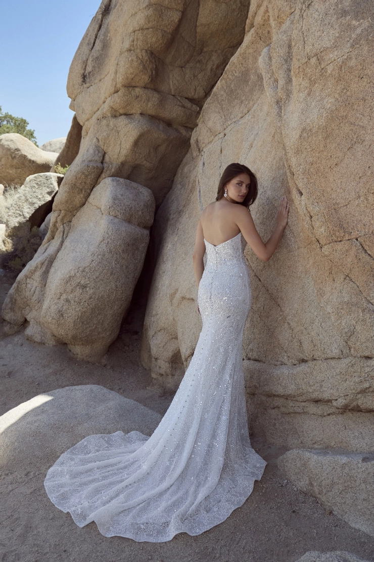 Calla Blanche 126112