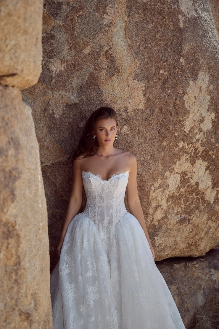 Calla Blanche 126113