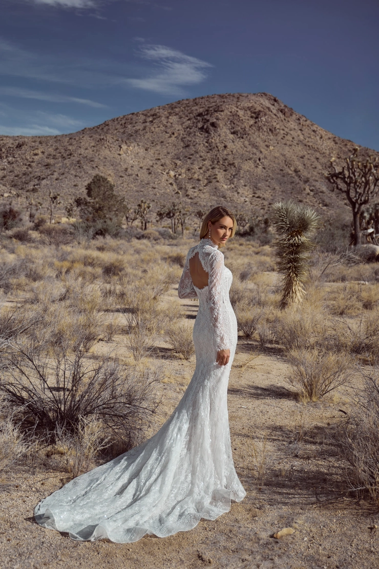 Calla Blanche 126116