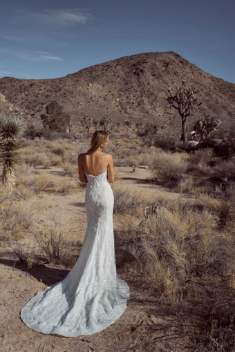 Calla Blanche 126116 #3 backface vertical thumbnail