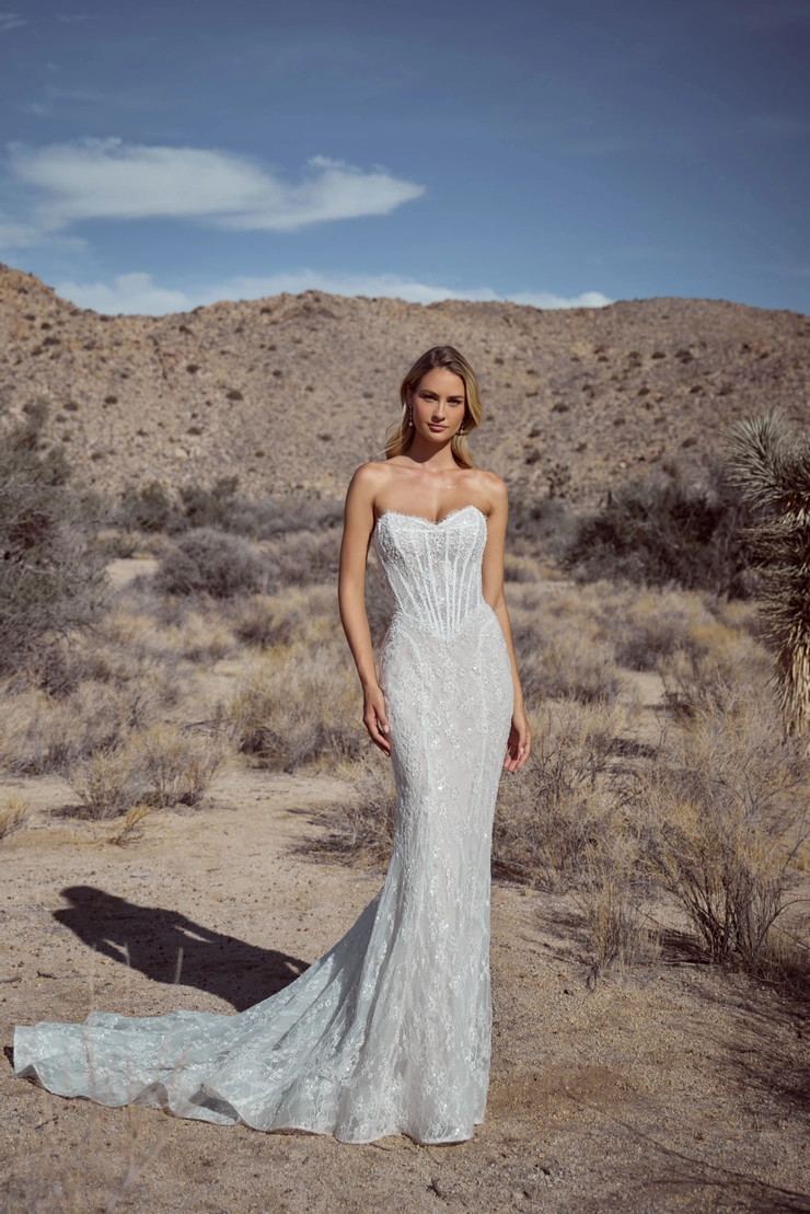 Calla Blanche #126116 Default Thumbnail Image