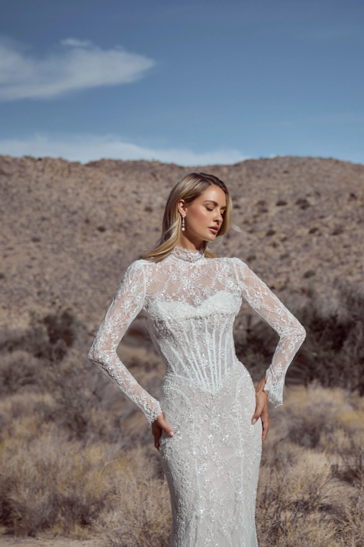 Calla Blanche 126116