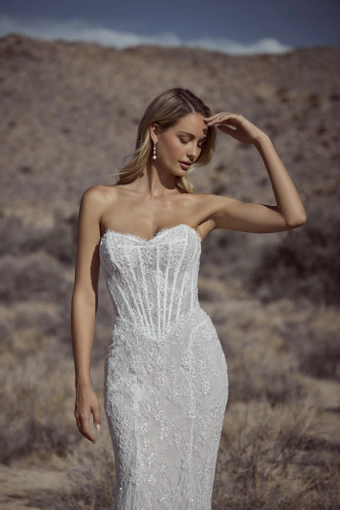 Calla Blanche 126116 #5 frontface vertical cropped thumbnail