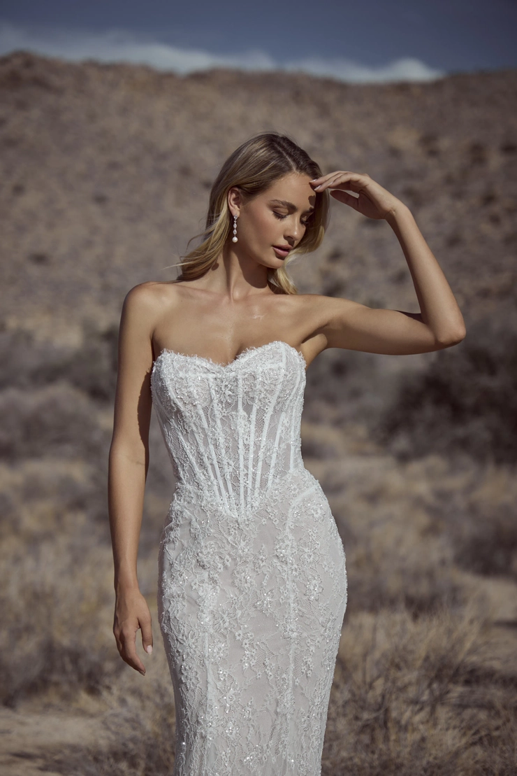 Calla Blanche 126116